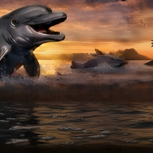 2- Hour Dolphin & Wildlife Adventures